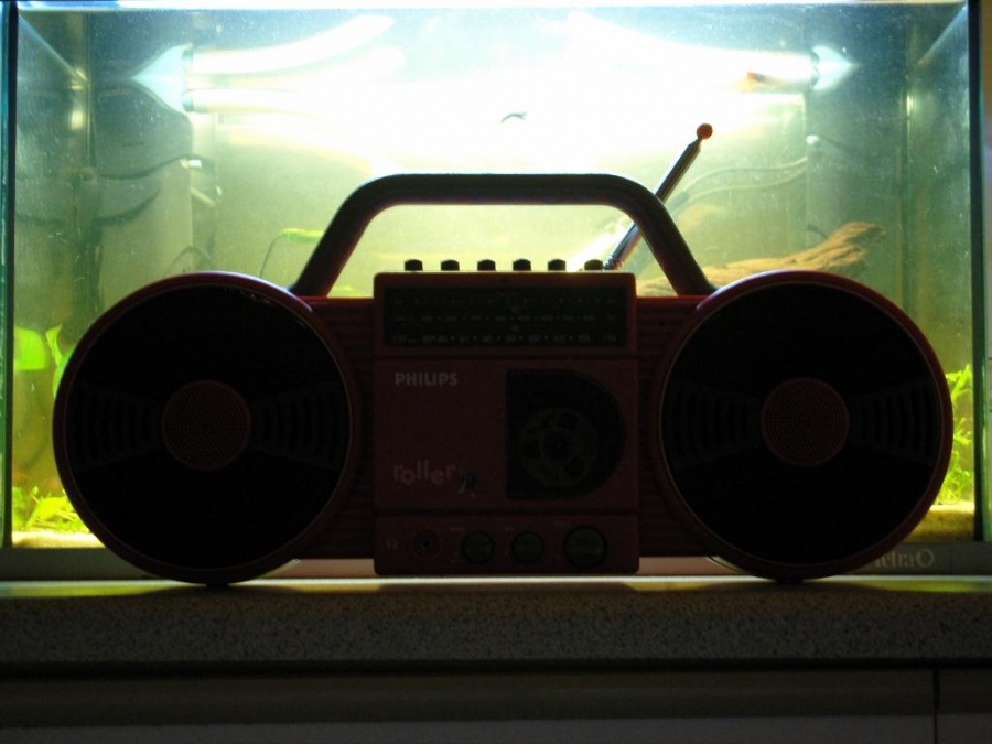 snv10293.jpg