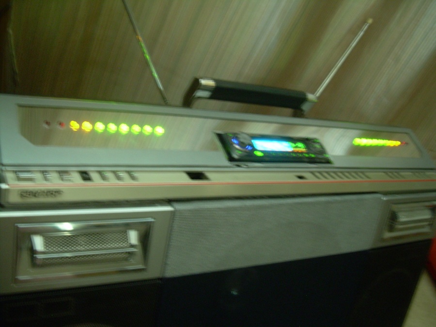 led010.jpg