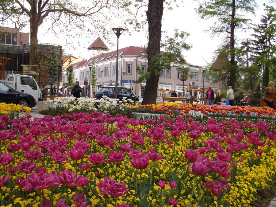 pict0119.jpg