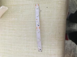 IMG_4546.JPG