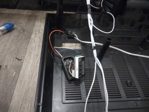 IMG_20170613_074523.jpg