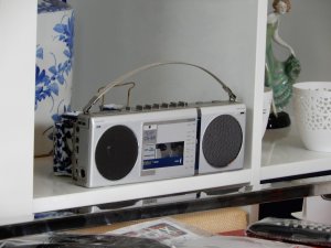 DSCN0815.jpg