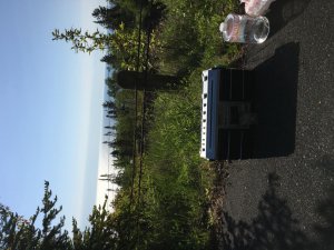 IMG_0473.JPG