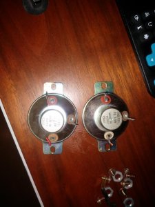 trk8080tweeters.jpg