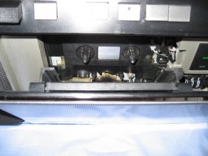 IMG_0550.JPG