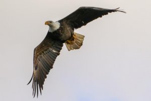 C775CC34-DE6D-4495-A5D0-8C6B72F94012.jpeg