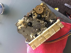 70B769C8-DDFA-49E9-A56E-CA941ED705E5.jpeg