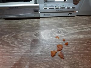 IMG_20190914_144654.jpg