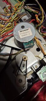 20241030_195132.jpg