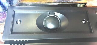 Aiwa tweeter.jpeg