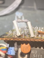 IMG_8435.jpeg