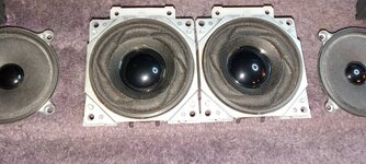 Perfect-Woofers.jpg