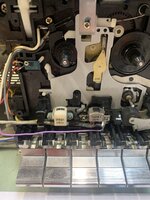 IMG_7960.jpeg