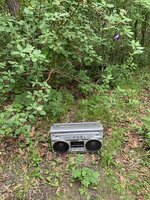 IMG_1942.jpeg