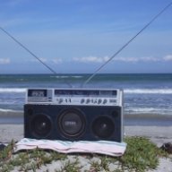 JVC838