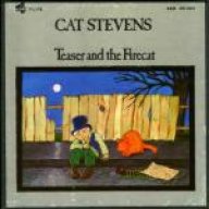 teaserfirecat